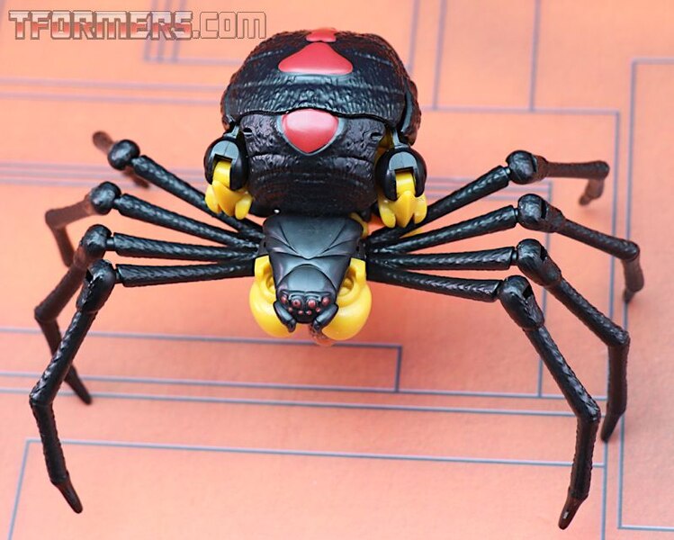 Transformers Kingdom Blackarachnia  (21 of 46)